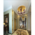 Beautifully Decorated Home Elevator with Good Quality Competitive Price